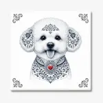 Bichon Frisé Zeeuws honden tegeltje