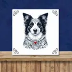 Border Collie Zeeuws honden tegeltje