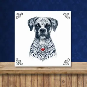 Boxer Zeeuws honden tegeltje