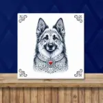 duitse-herder-langstokhaar-zeeuws-honden-tegeltje-cadeau
