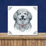 Lagotto Romagnolo Zeeuws honden tegeltje