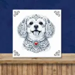 Maltezer Zeeuws honden tegeltje