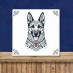 Mechelse Herdershond | Belgische Herder Zeeuws honden tegeltje