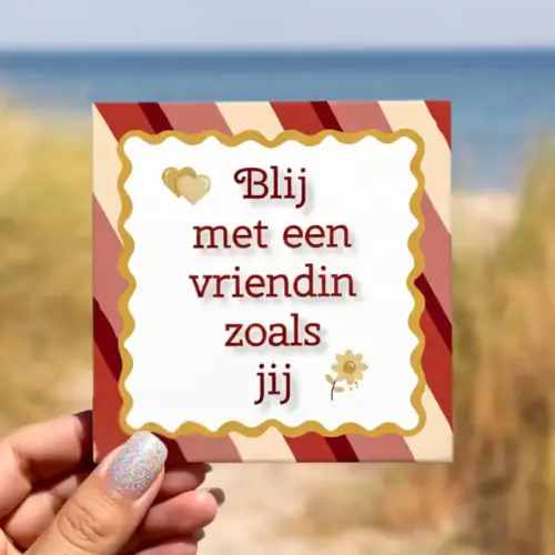 Tegeltje met tekst; Blij met een vriendin zoals jij