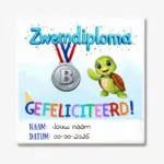 Zwemdiploma B tegeltje cadeau