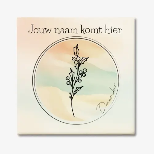Tegeltje met de geboortebloem van december Hulst