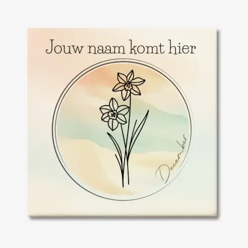 Tegeltje met de geboortebloem van december Witte narcis