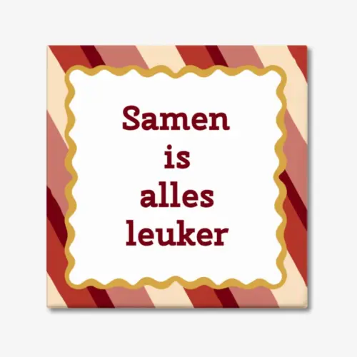 Tegeltje met tekst "Samen is alles leuker" met een decoratieve rand er omheen.