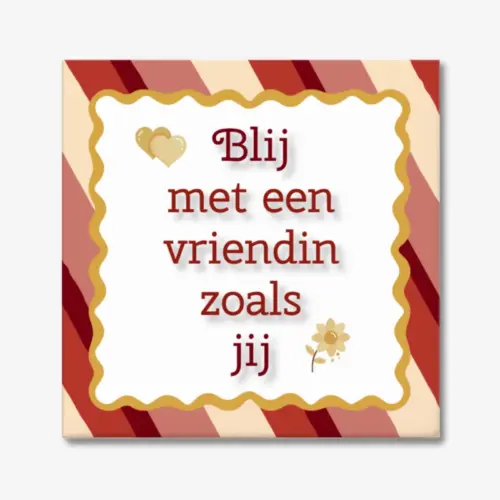Tekst tegeltje "Blij met een vriendin zoals jij"