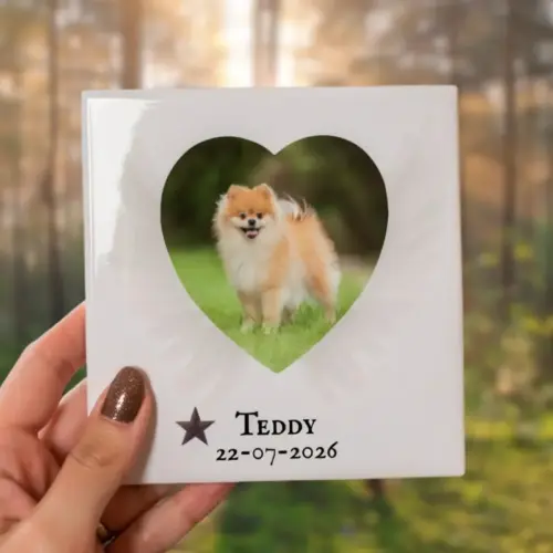 Troosttegeltje met naam, datum en foto van een hond