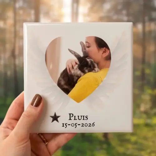 Troosttegeltje met naam, datum en foto van een huisdier