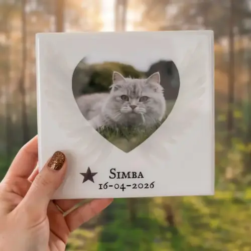 Troosttegeltje met naam, datum en foto van een kat